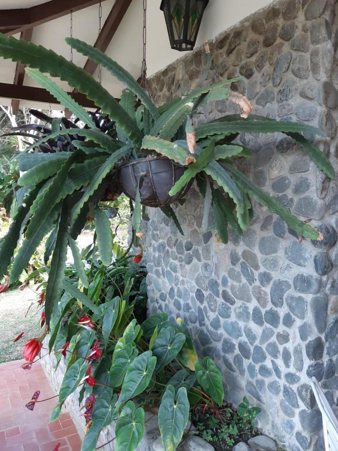Finca Paraiso Calima Exterior foto
